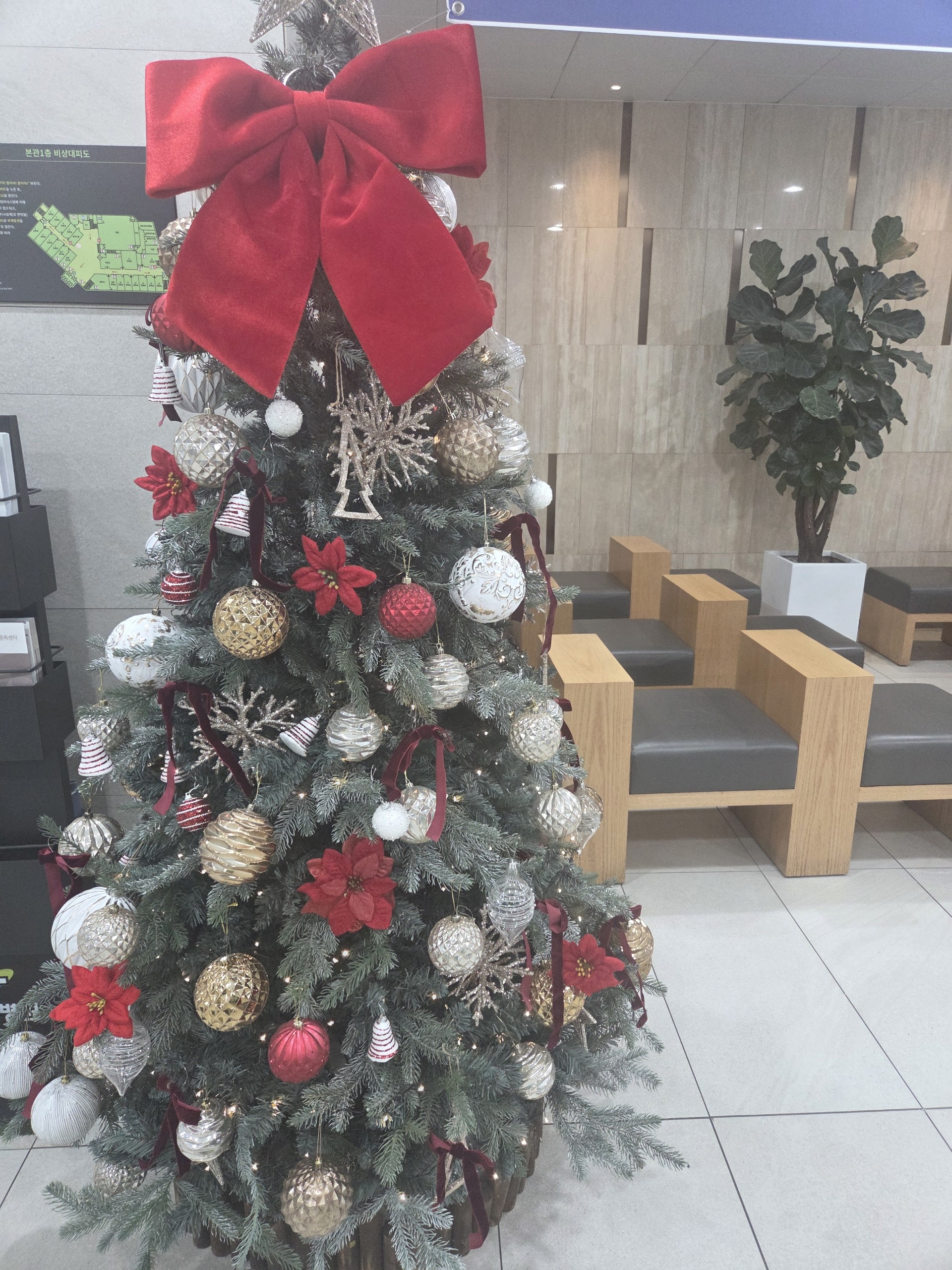 “月齡(월령)”