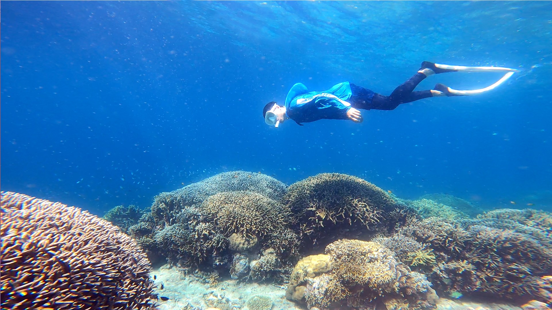 (•ө•)♡ 꽥  꽥 ༺♥༻⛰️ 🏔