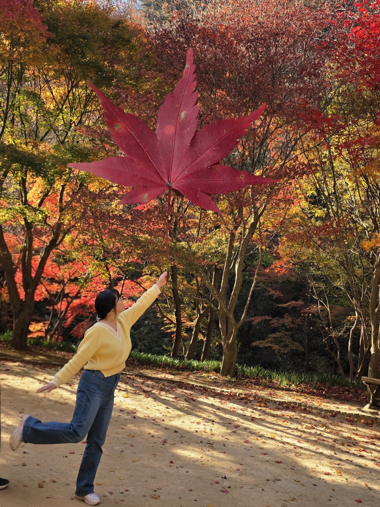 ˚ℳ̆̈*₊𝓾𝓼𝓮벨이❦͏