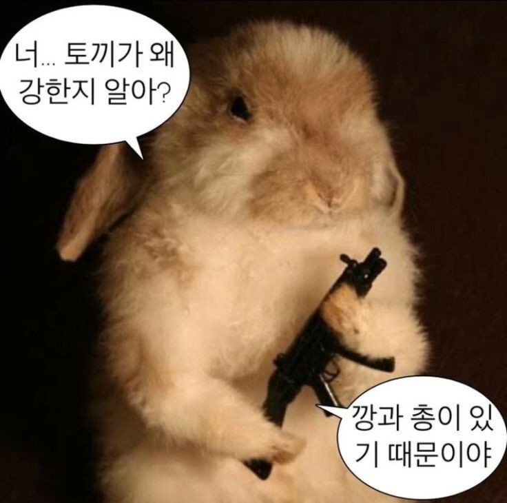 뽀 슬