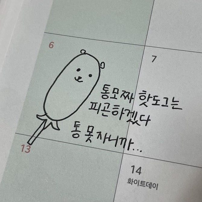코이