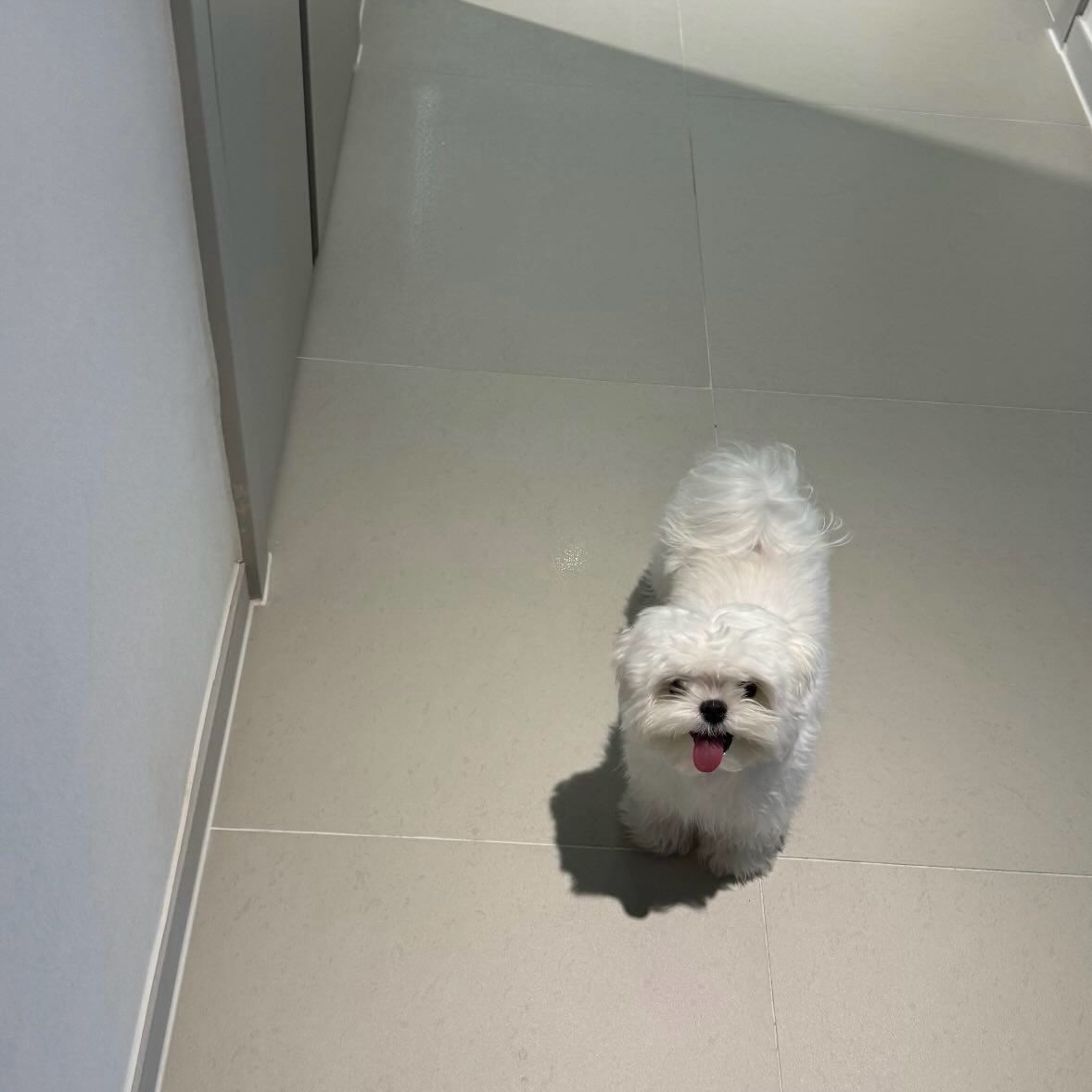 ⠀⠀⠀⠀⠀⠀⠀⠀⠀@̐̈