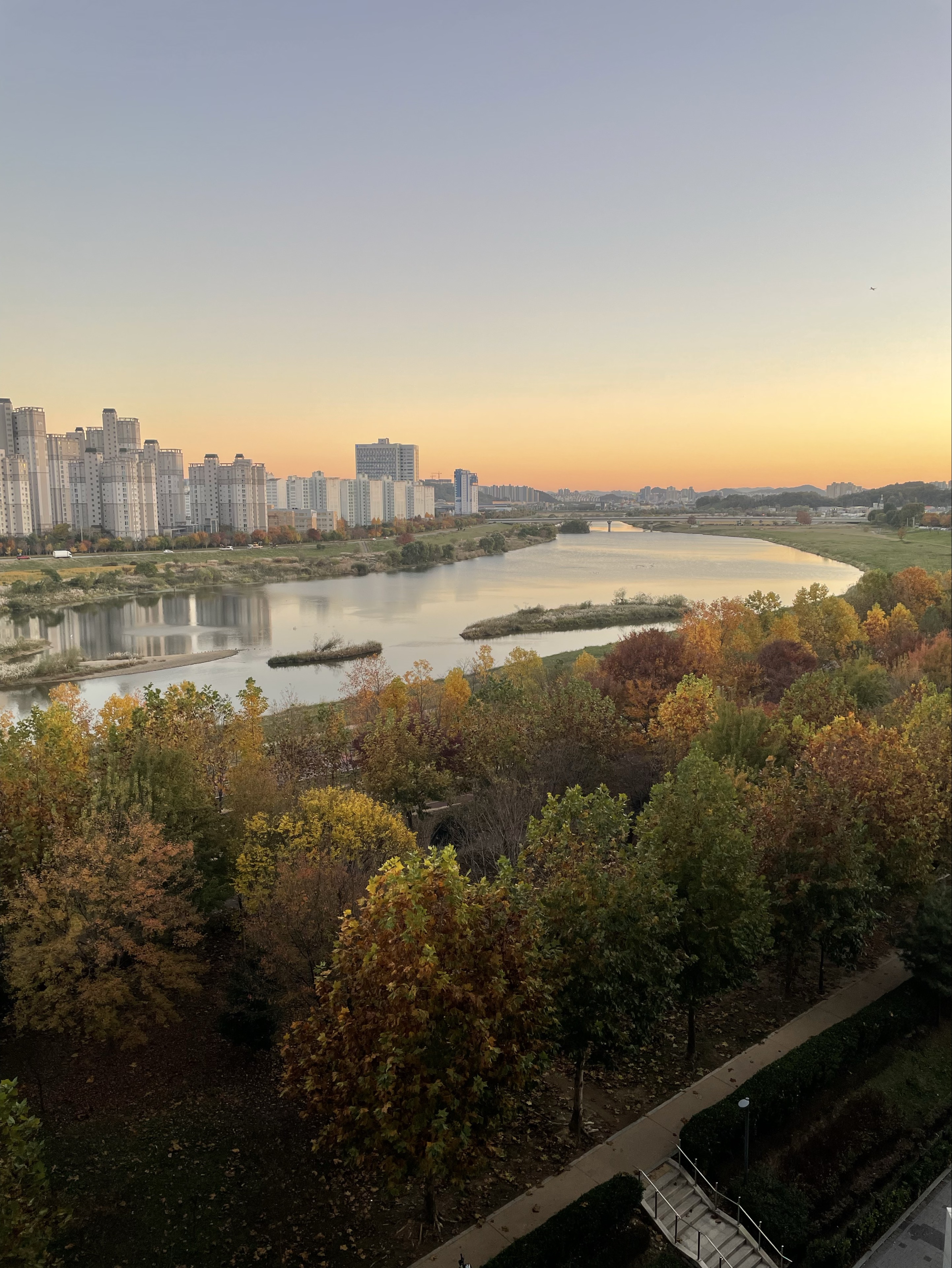 찐팬1기-장영희 (광주)