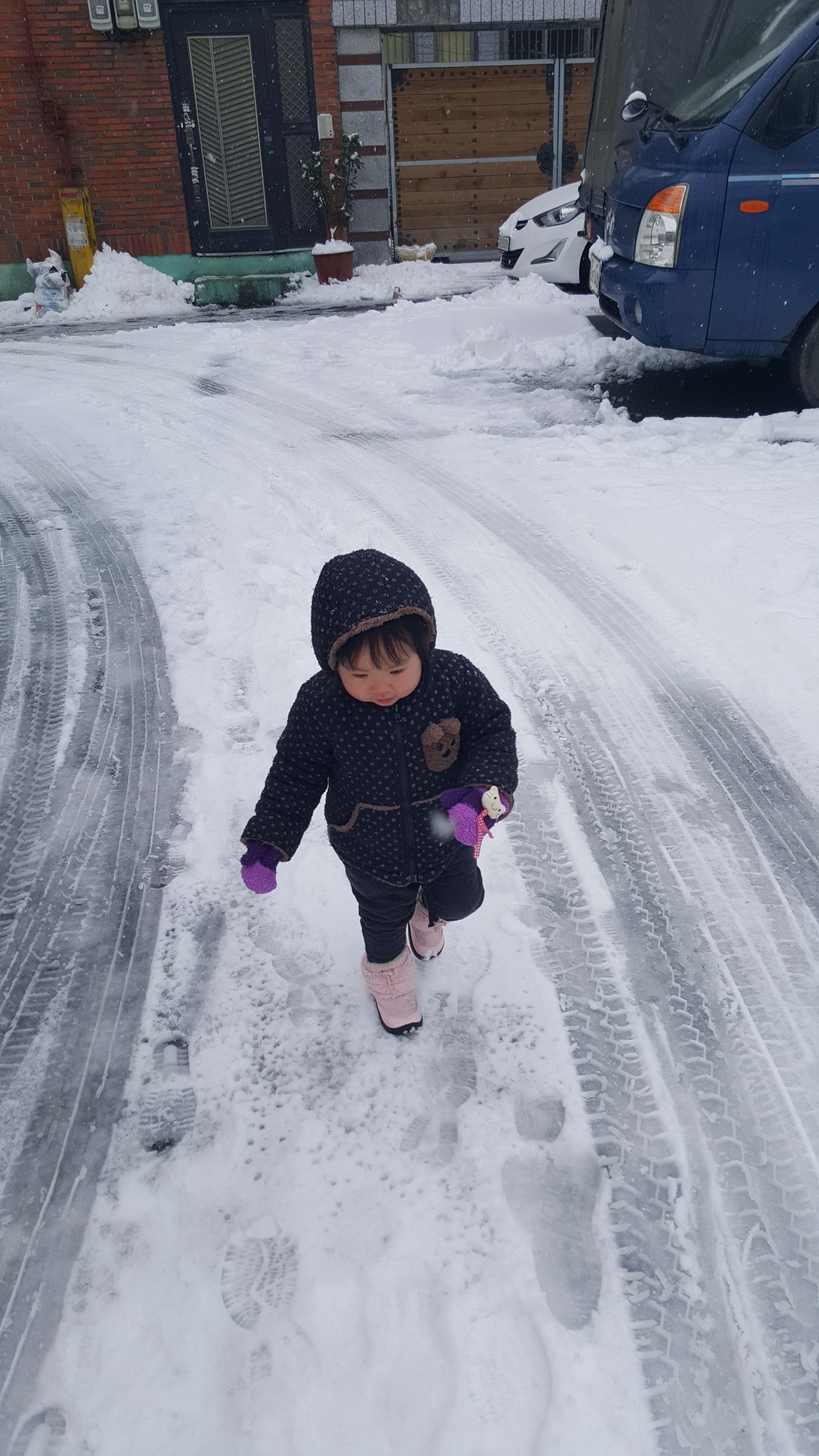 [개]     기 요💖💎