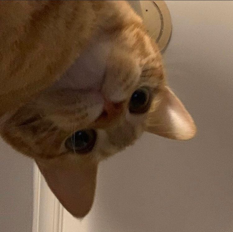 ๋ ๋ฅธ ๐ - 3