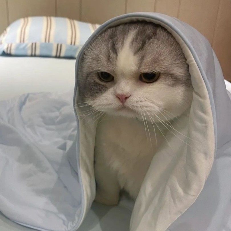 김근미영