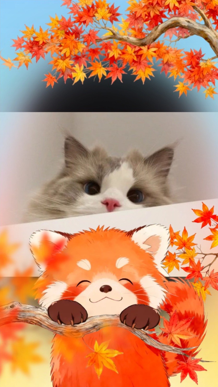 ⠋ 연 나 ⨾ ଳ ⣠