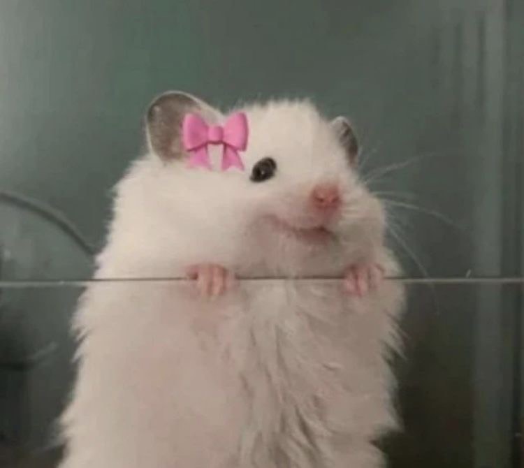 아 현