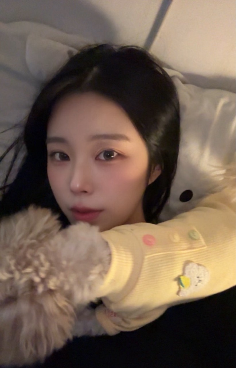 블리인데요?🧸