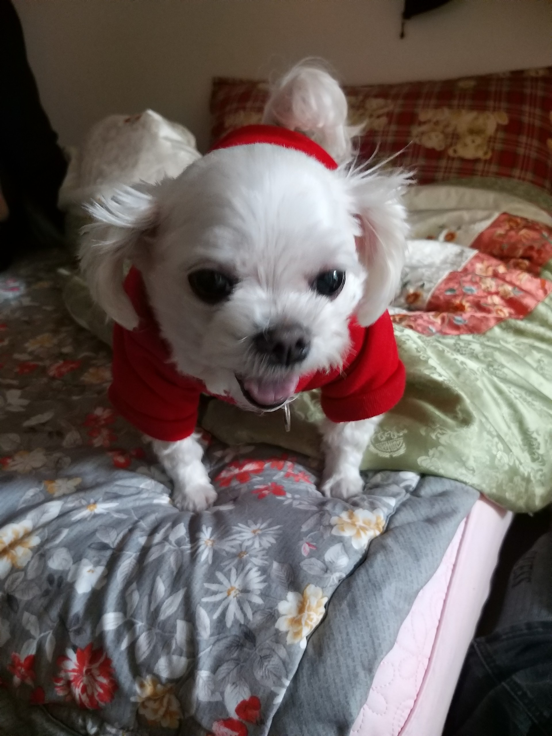 잼민이마યꔌ킹덤