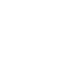 ๐ฎ ์ฌ ์ ๐ถ