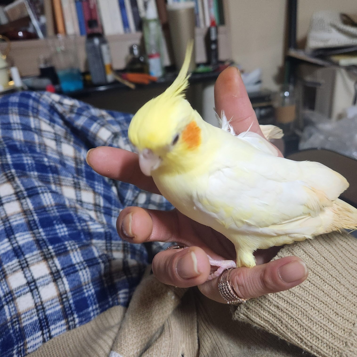 술.. 떡.. 약.. 인생에전부냐그게