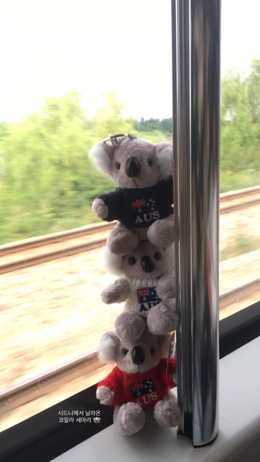 아영  ‬⊹ 🇰🇷