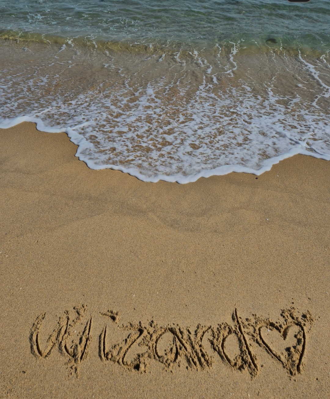 메레디스의 법사 📖