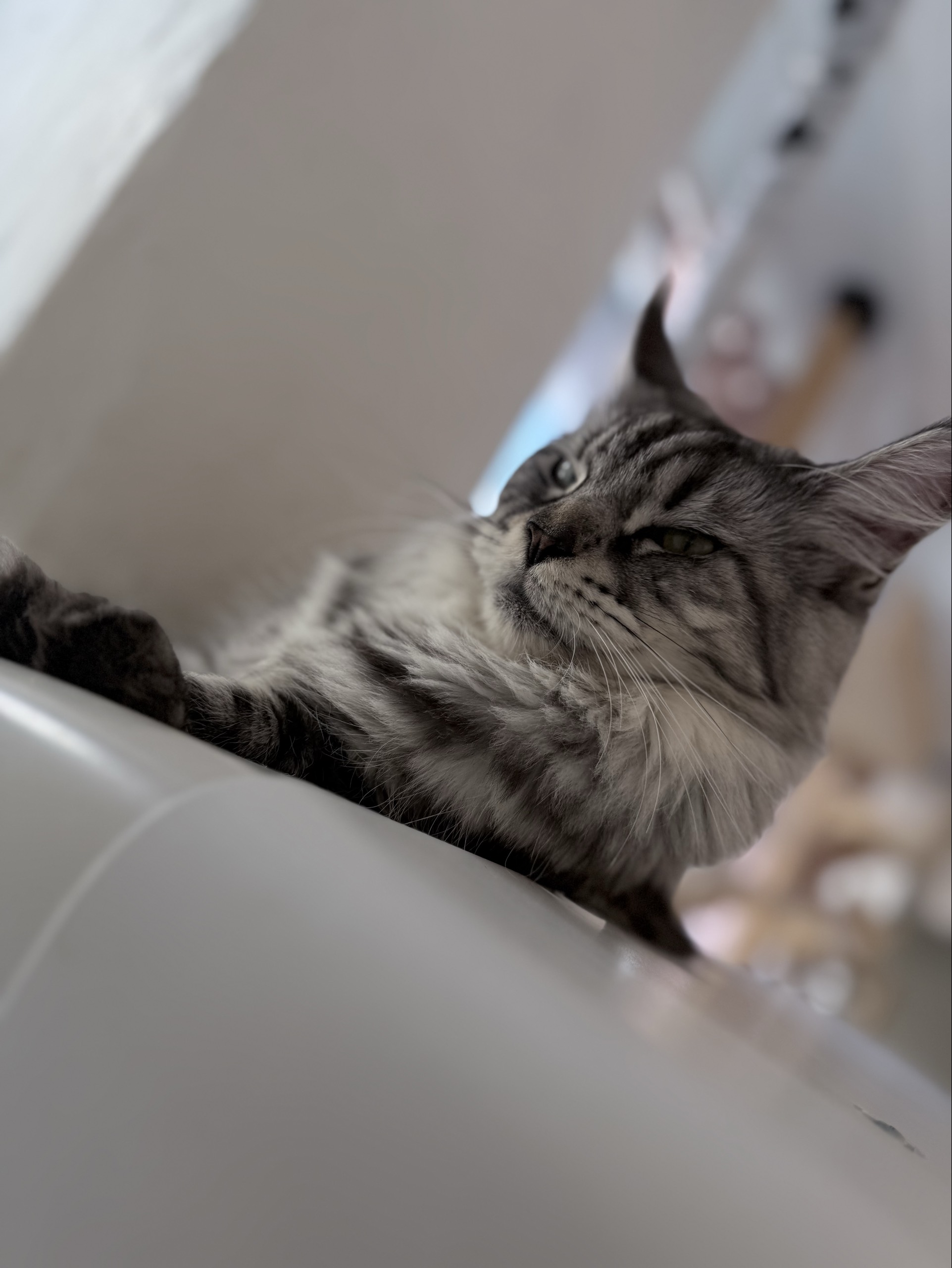 {𝓢𝓸𝓷𝓲𝓬} 하루