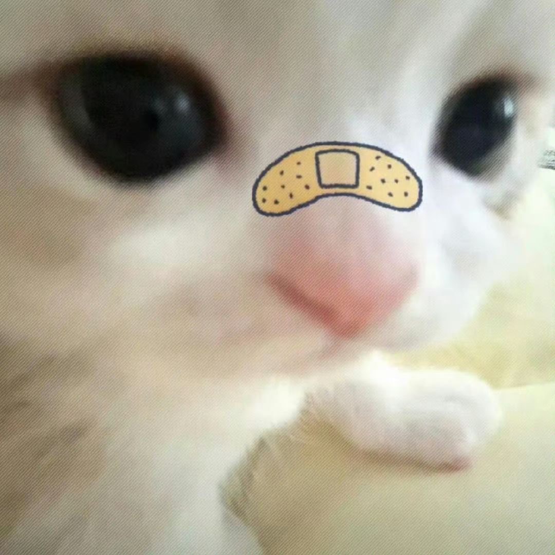 ๐๐ฐ๐ด๐ฉ๐ช โงห ๏น