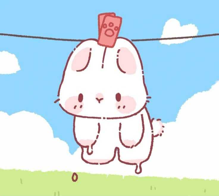 백몽글 ᴴⁿ✴︎