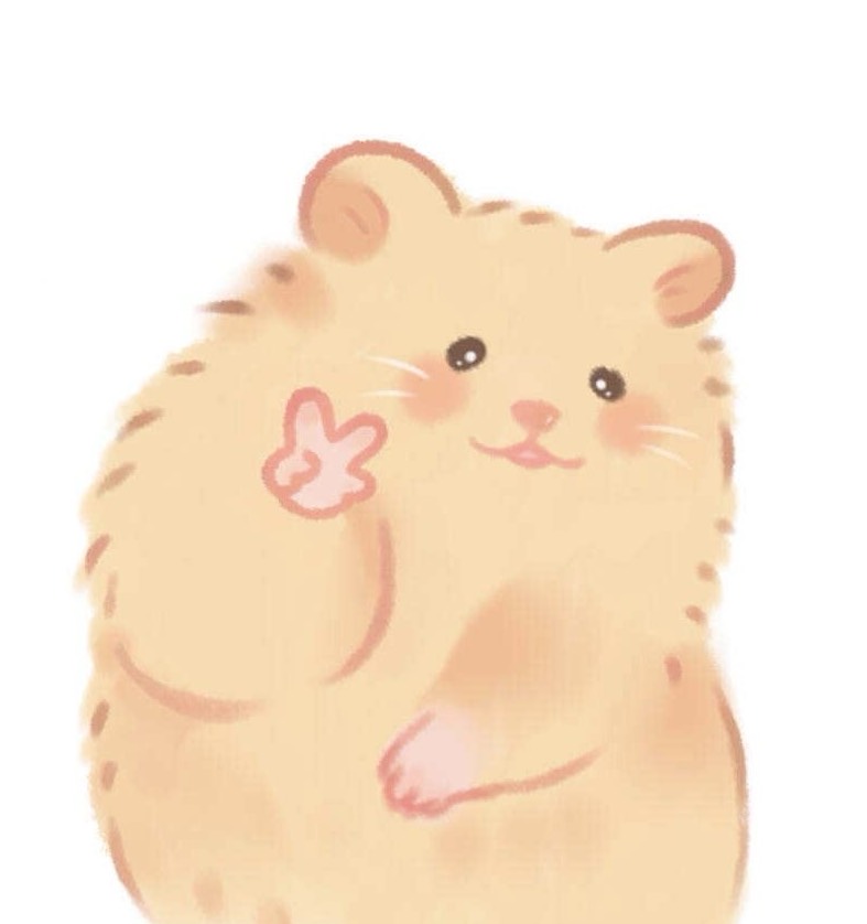 𝙾𝙽𝚂𝚃_본보노ꃍ