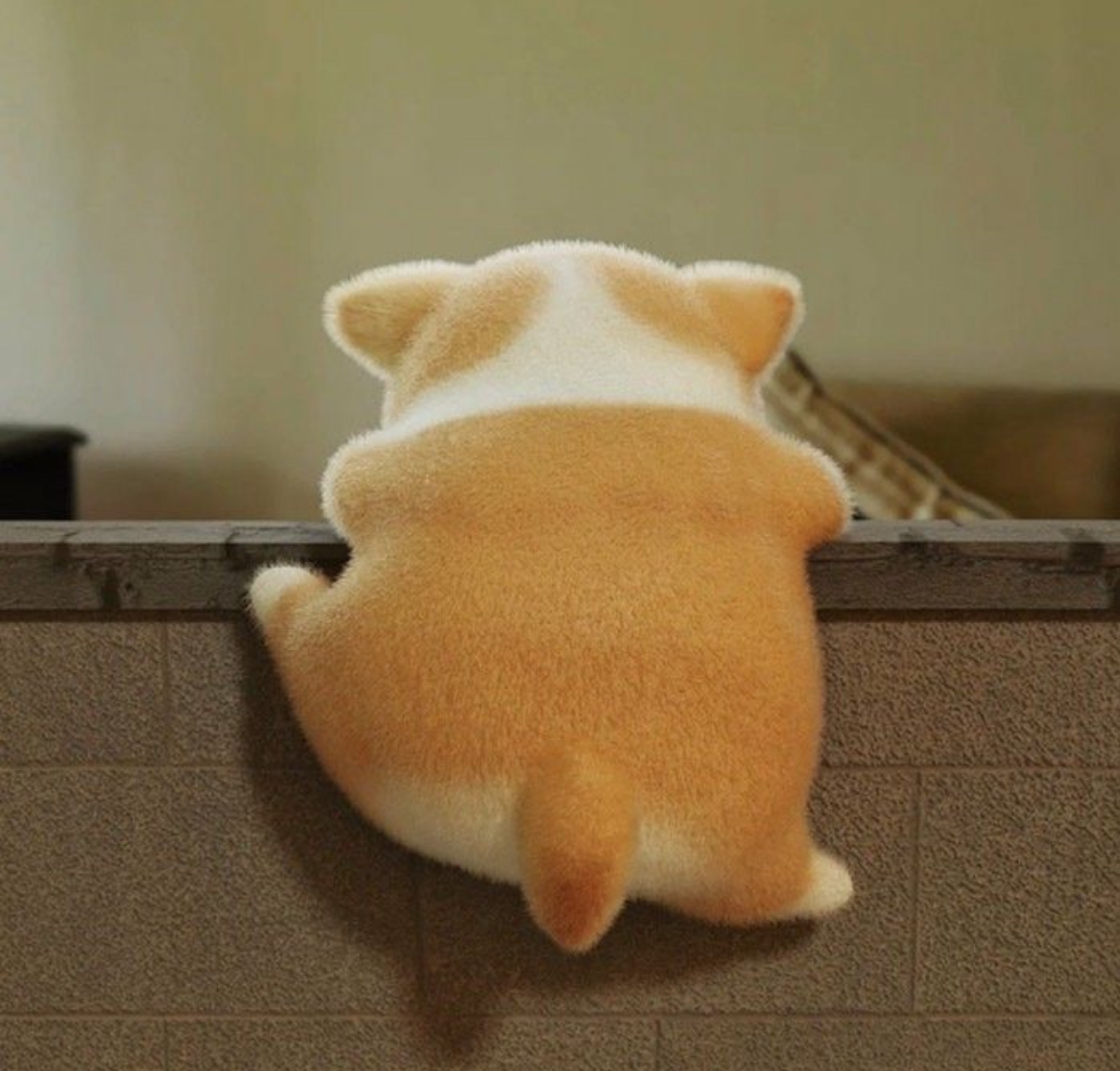 ◟ 홍연이네 멍 멍 ◝