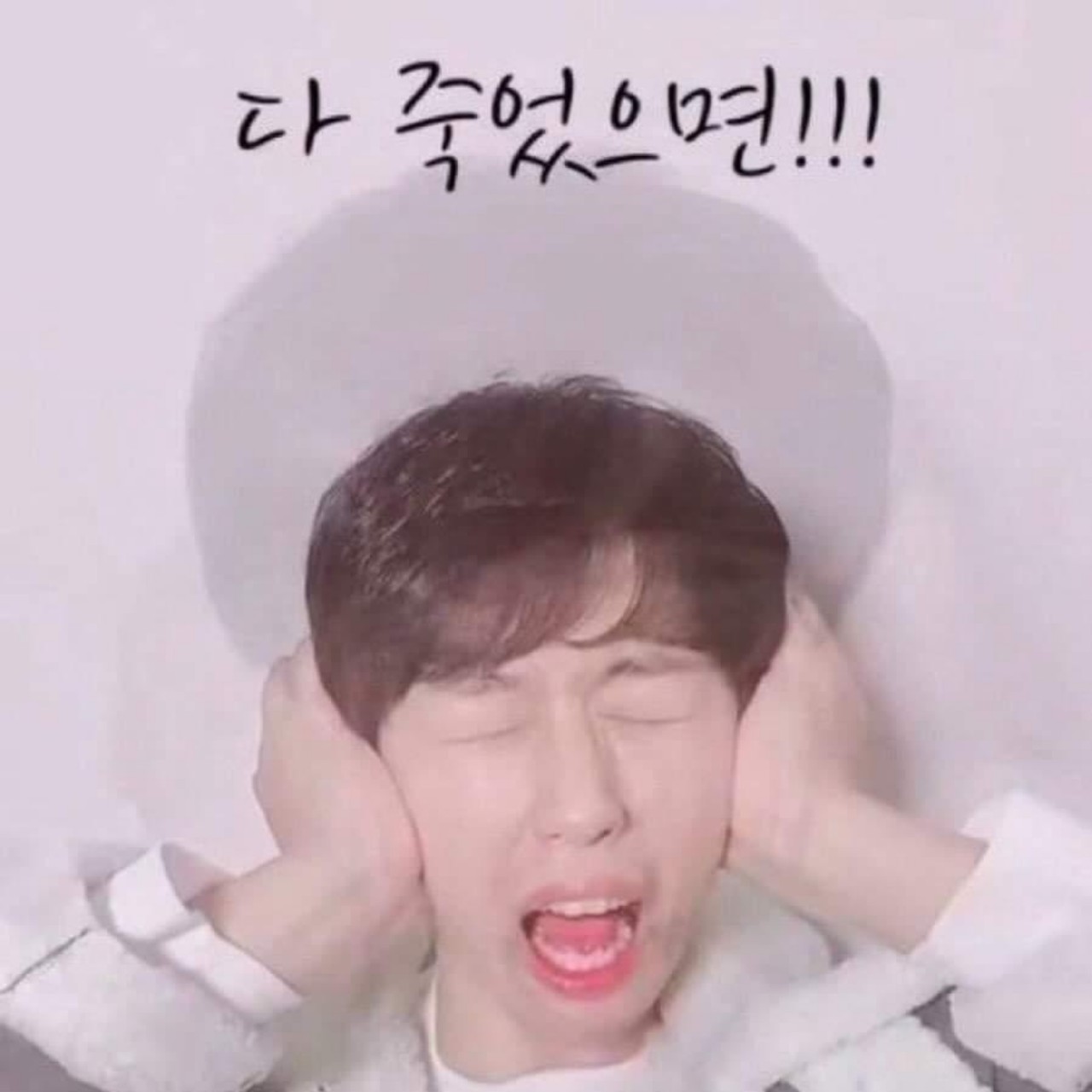눈요기♡