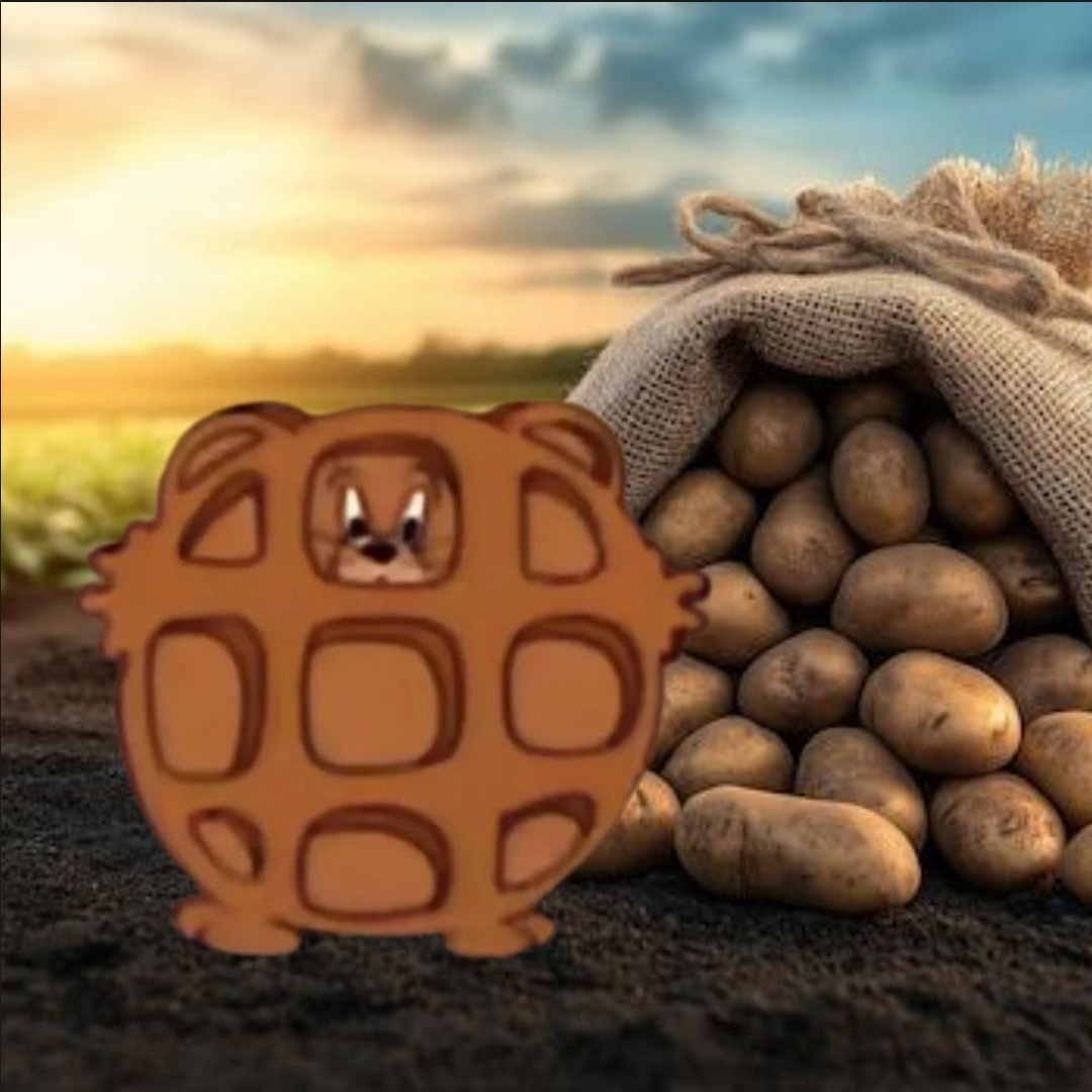 유기농흙감자 심는 제리쥐🥔