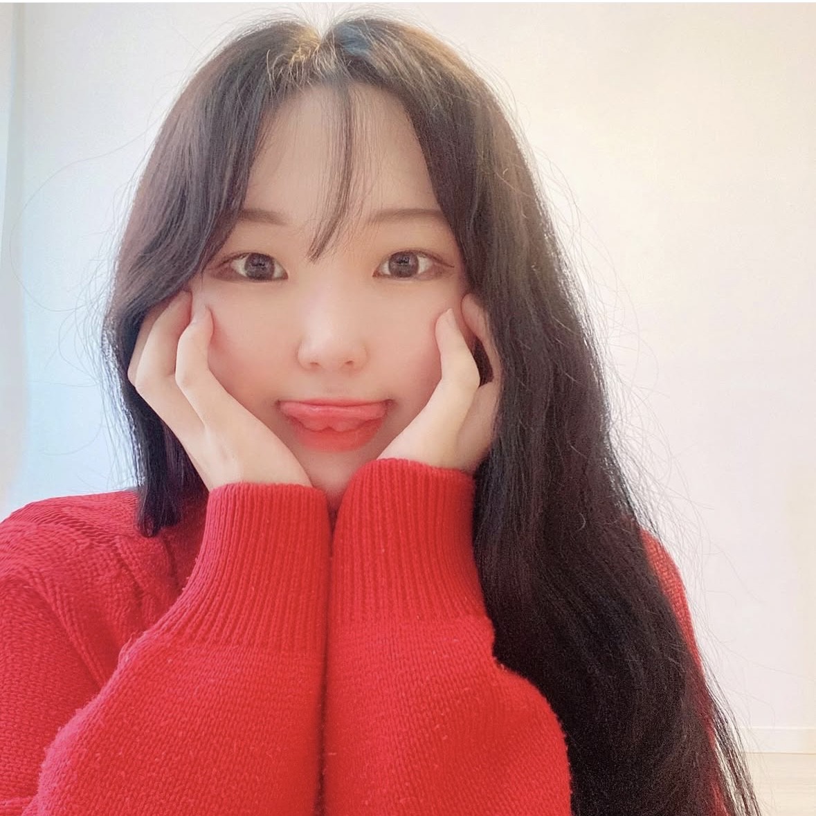 콩 순