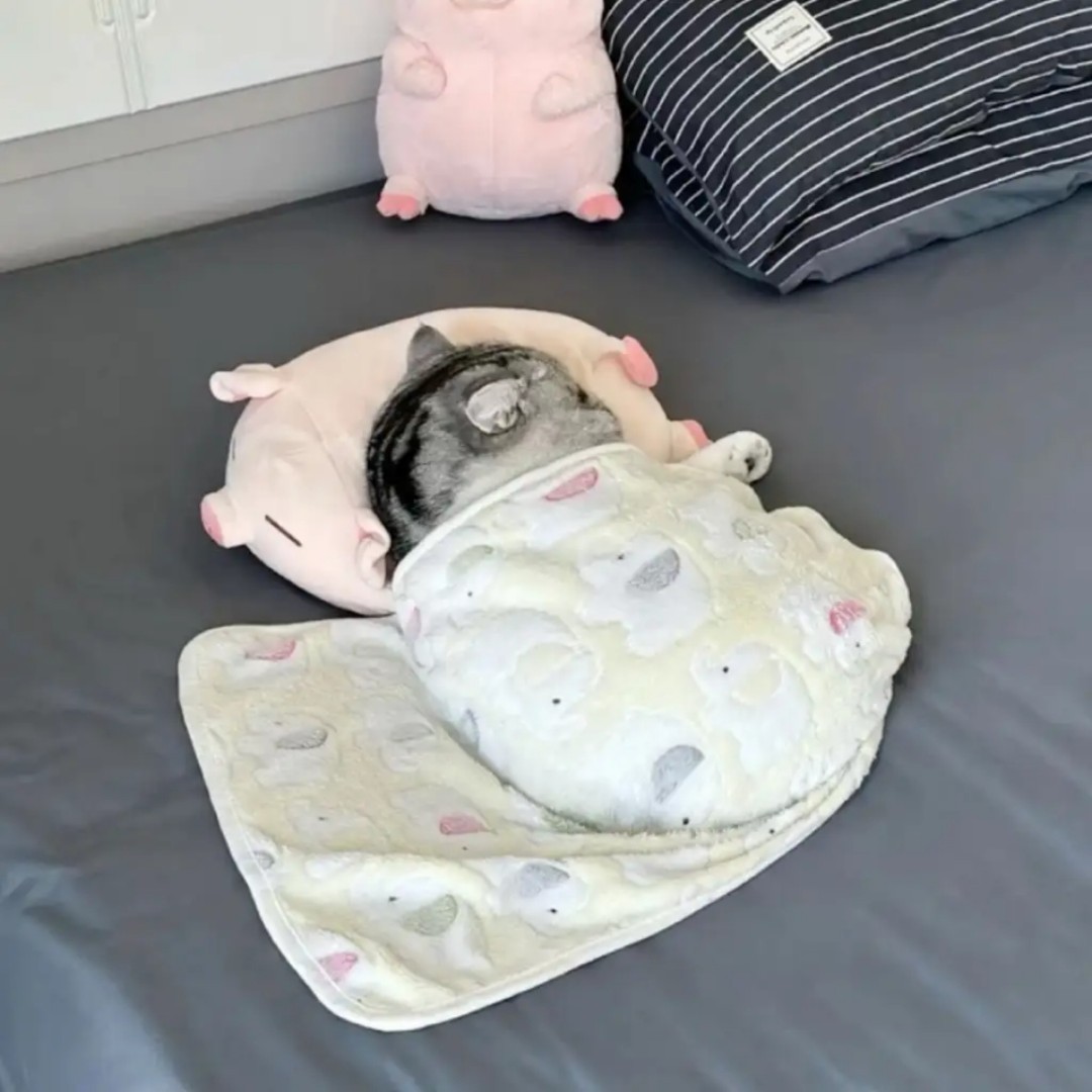 하루히 𝒽.𝓇𝓊໒꒱