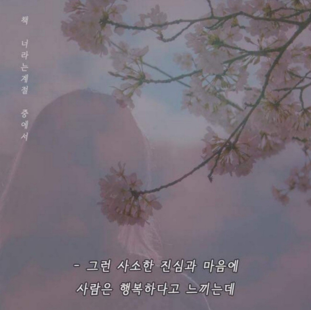 ᵢⱼ⸝𐦍⠀너라는계절