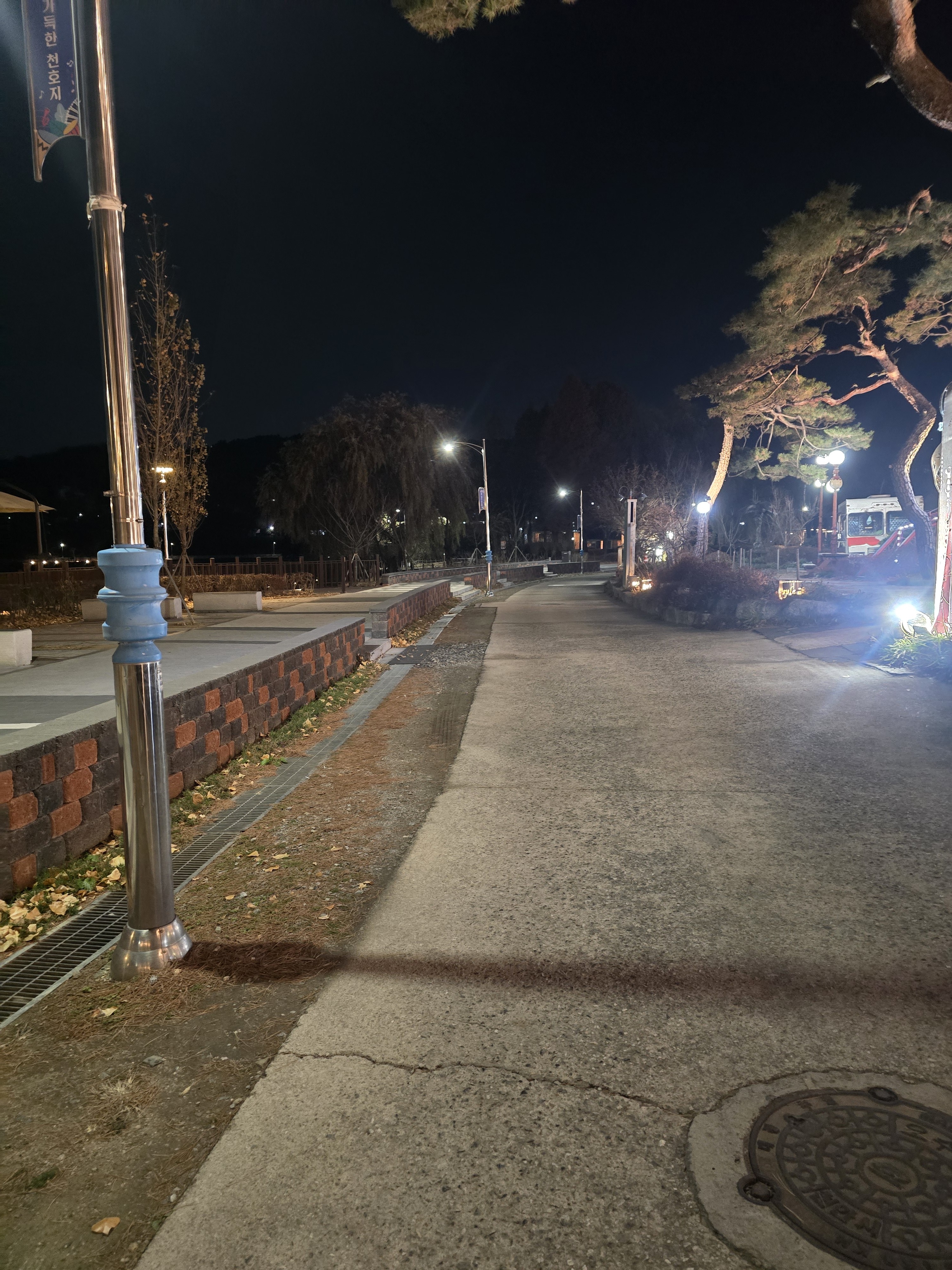 귤 바라기 까치🍊