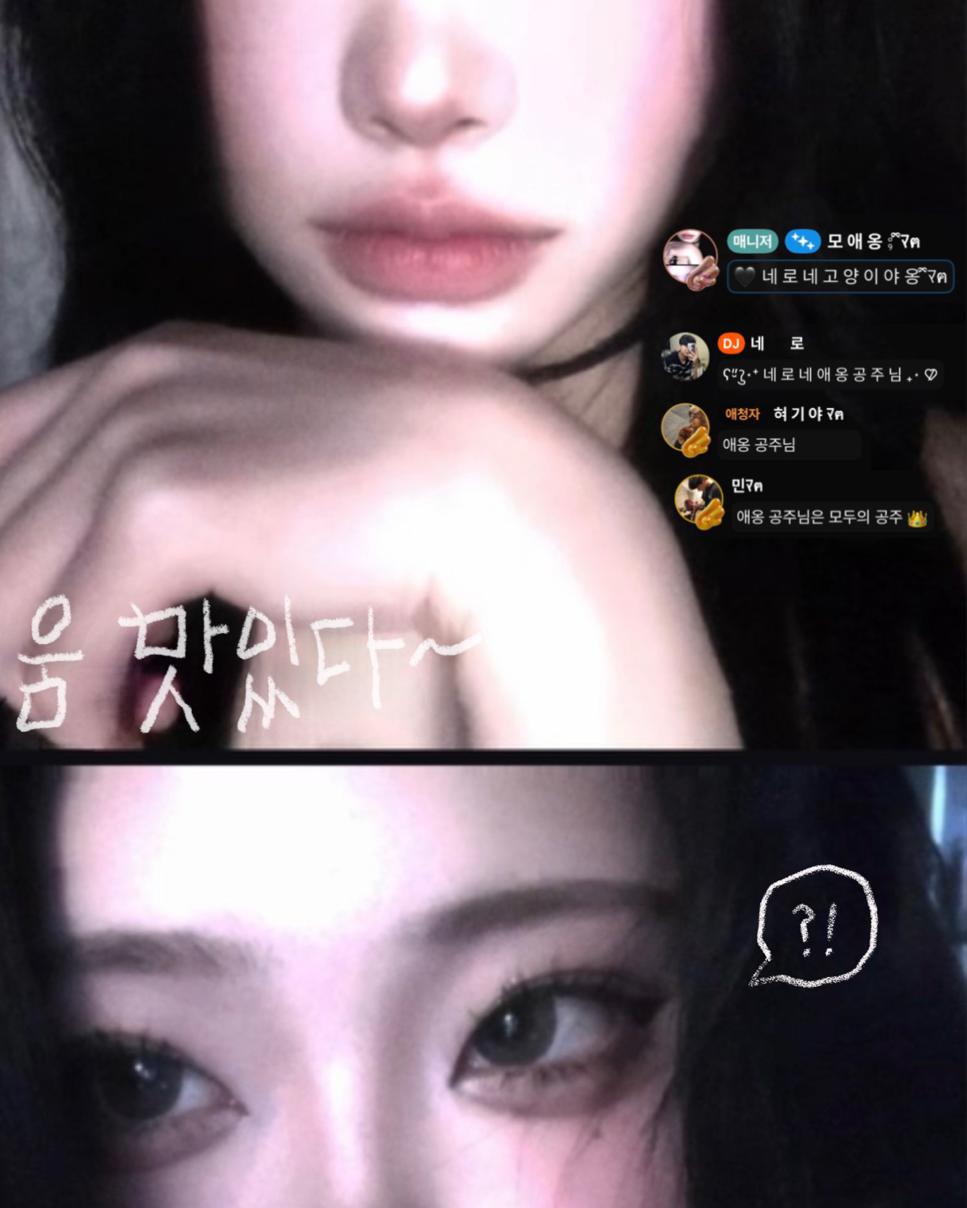 모 애 옹 ⨾ ྀིﾏฅ