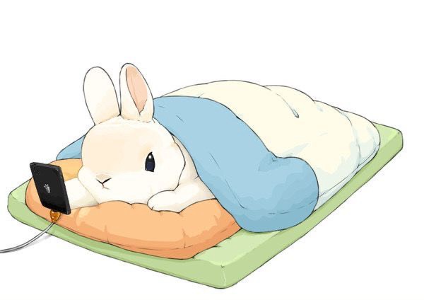 ᴷᴵᴹ 리ටㅏ ℜ̟𝔓