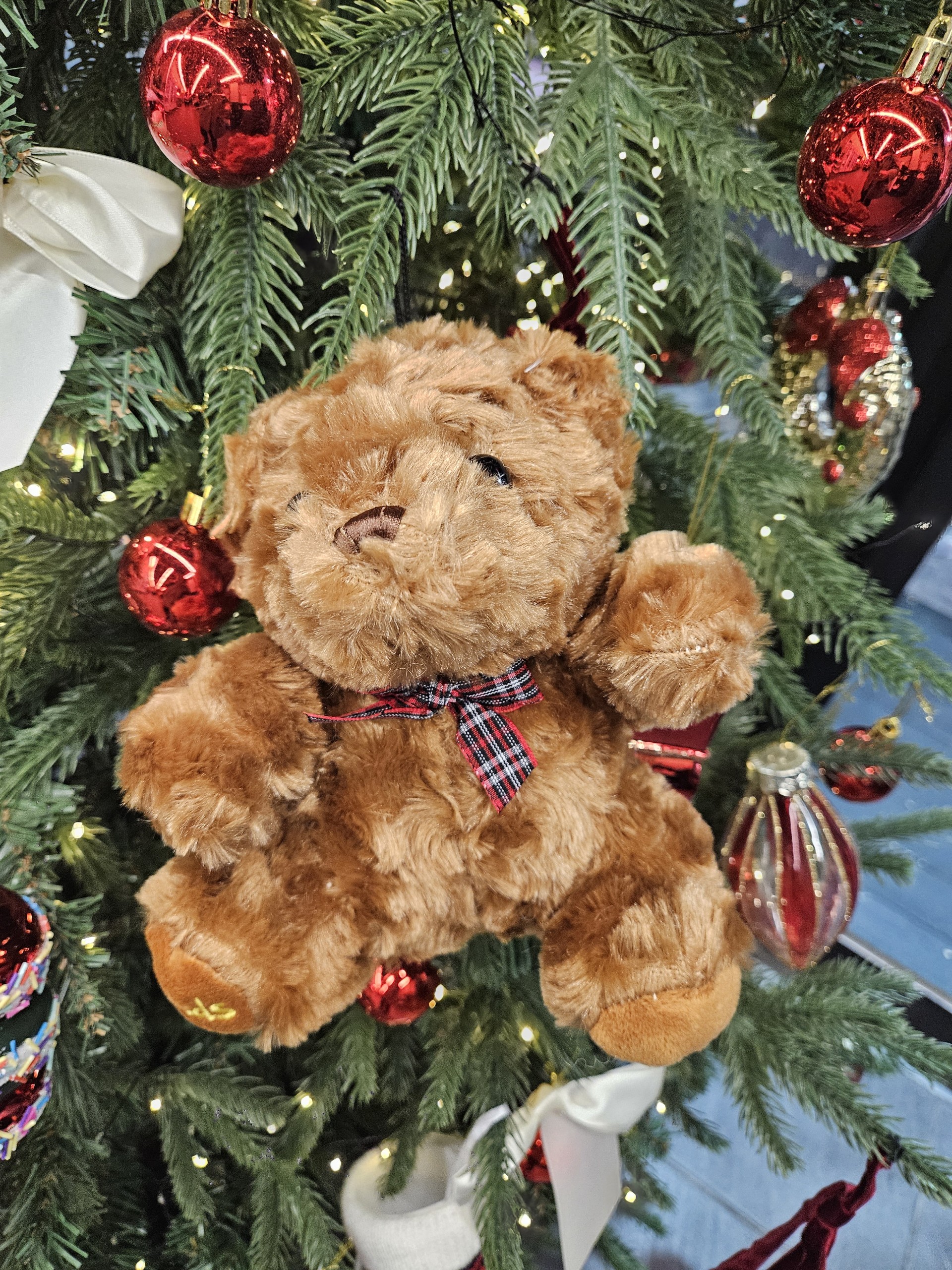 요미 💮 ᴴ‧₊♡