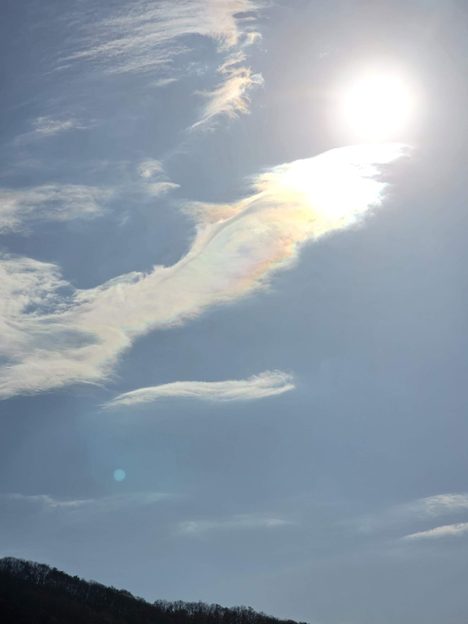 🍗🍺 *:･ﾟ✧