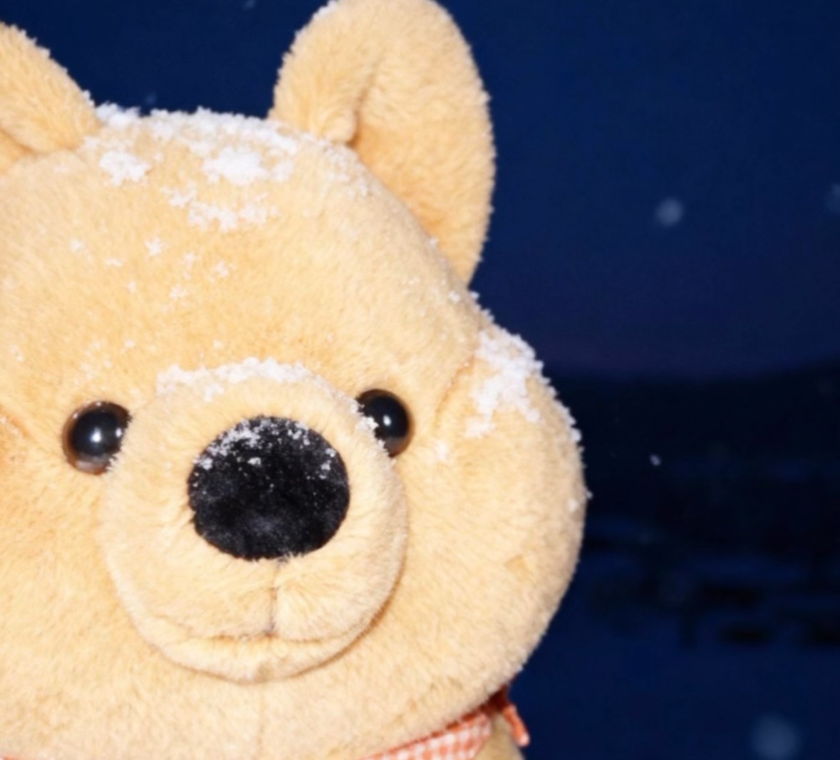 ⠀⠀⠀⠀⠀⠀⠀⠀⠀@̐̈