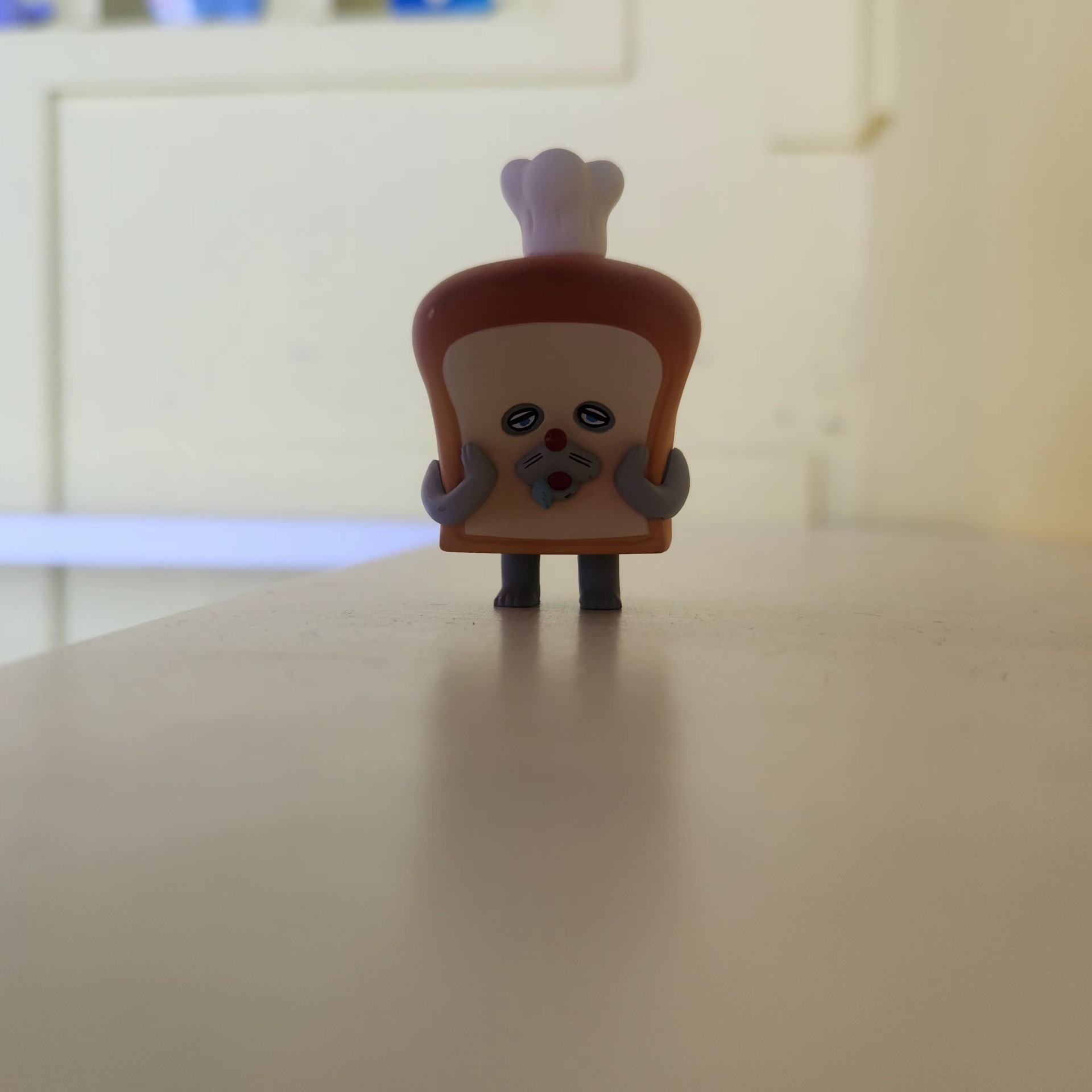 햄스터도보호종이야