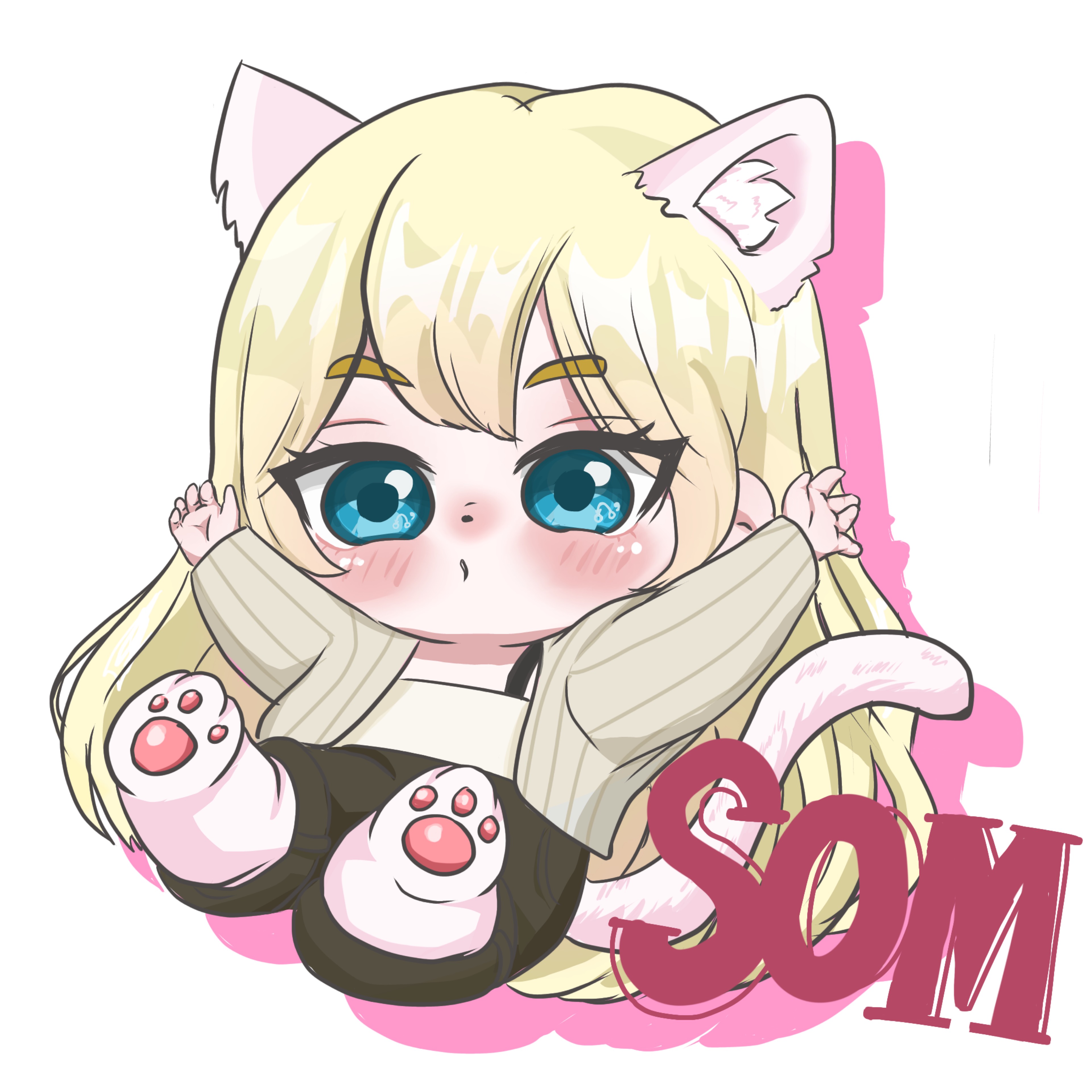 솜𝐀𝐒𝐌𝐑 ‧̊·*