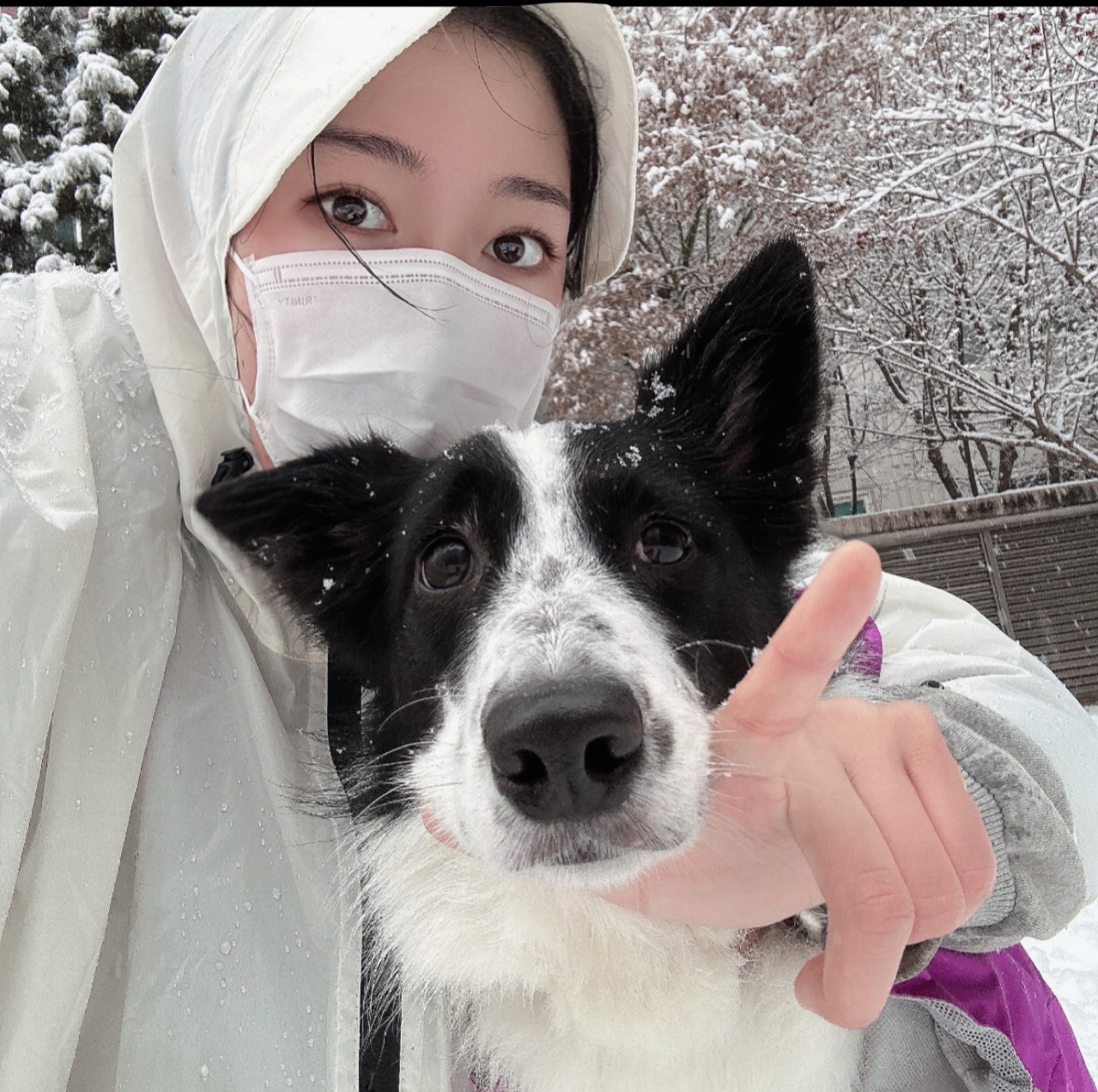 포 도 당 •̆₃•̑