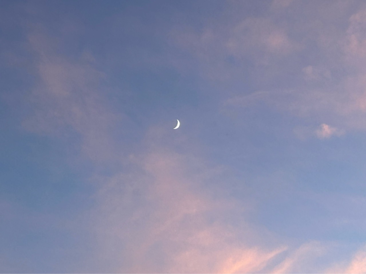한 봄⛤ᩚ