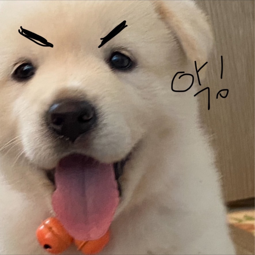 ⭐️