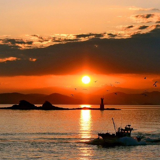 정조운ž˚❛ ֊ ❛„