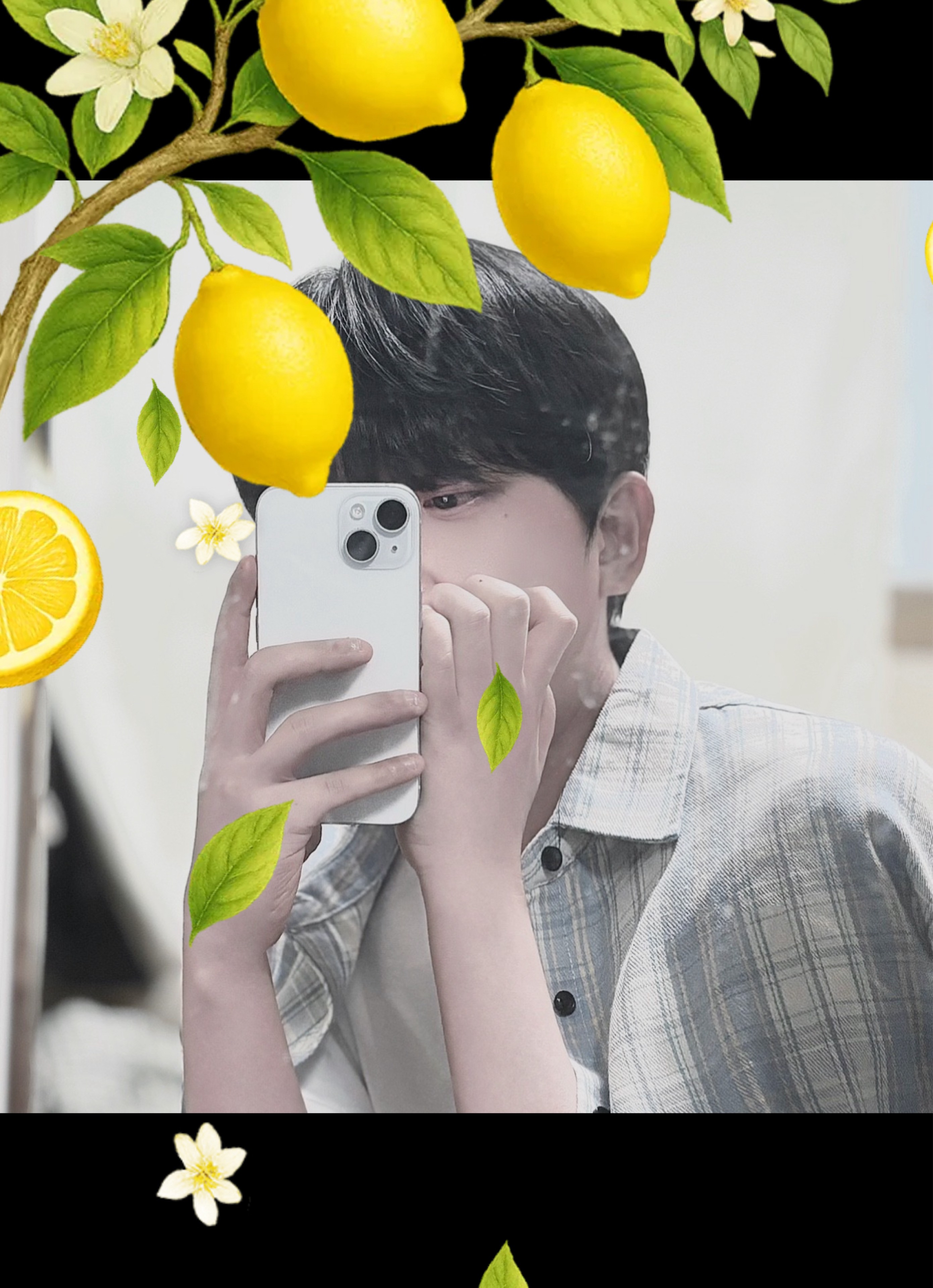 🏮 흔 🍶  ☘︎ ‧₊˚