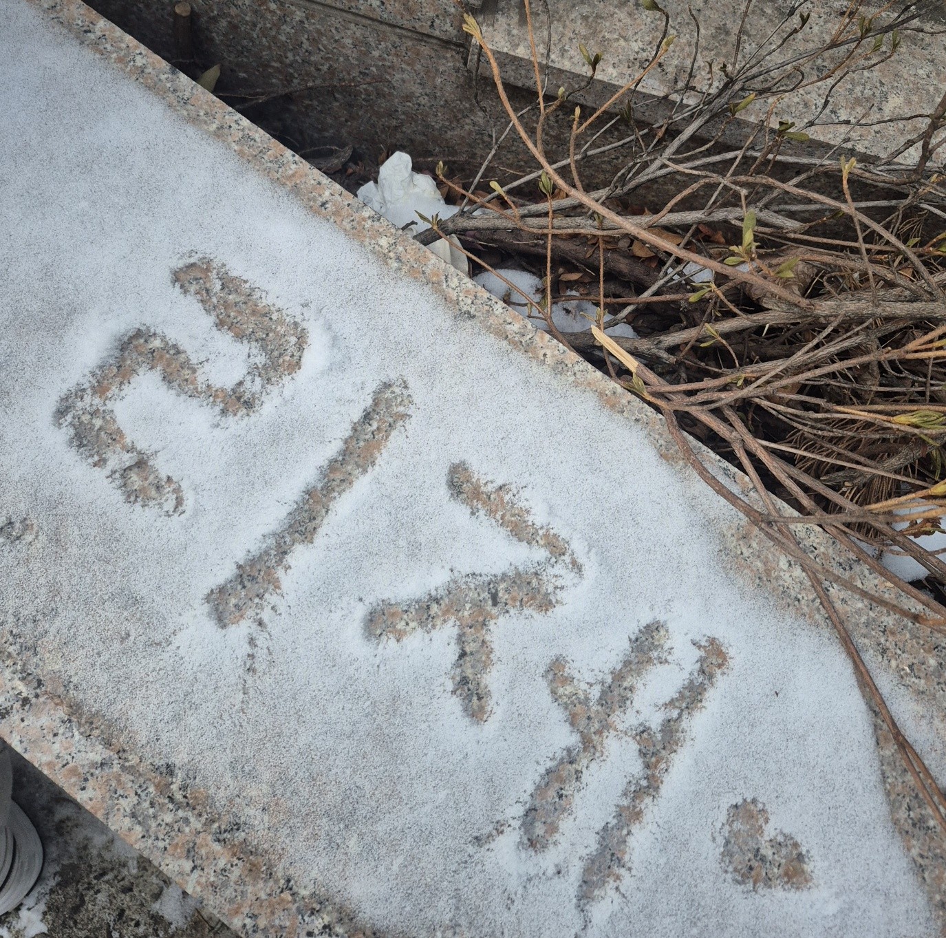 감자만두 리 제 ಇ·*🔒