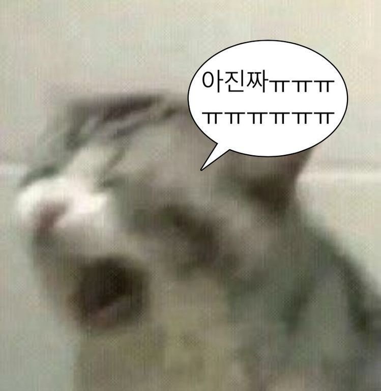 아영이🌱