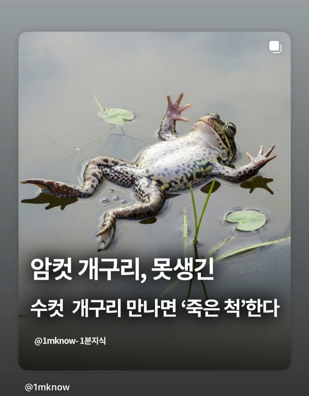 [🧩]헤카❦͏💜⁴⁸⁶🧩