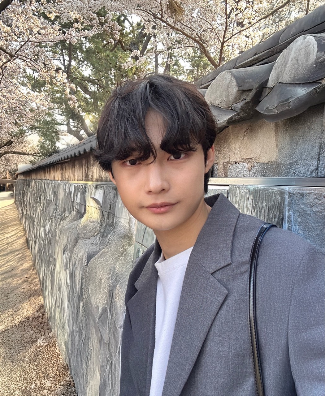 여우