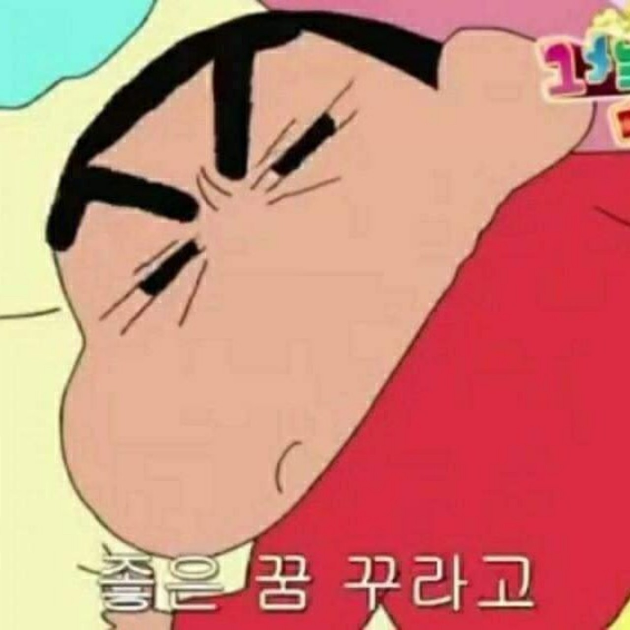 은애기만의 짱구 📑