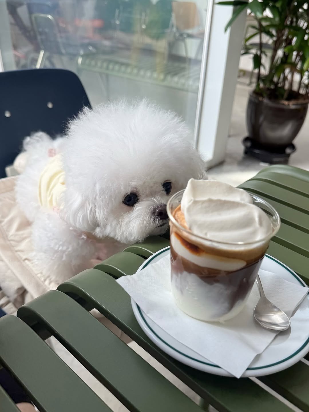 아영  ‬⊹ 🇰🇷