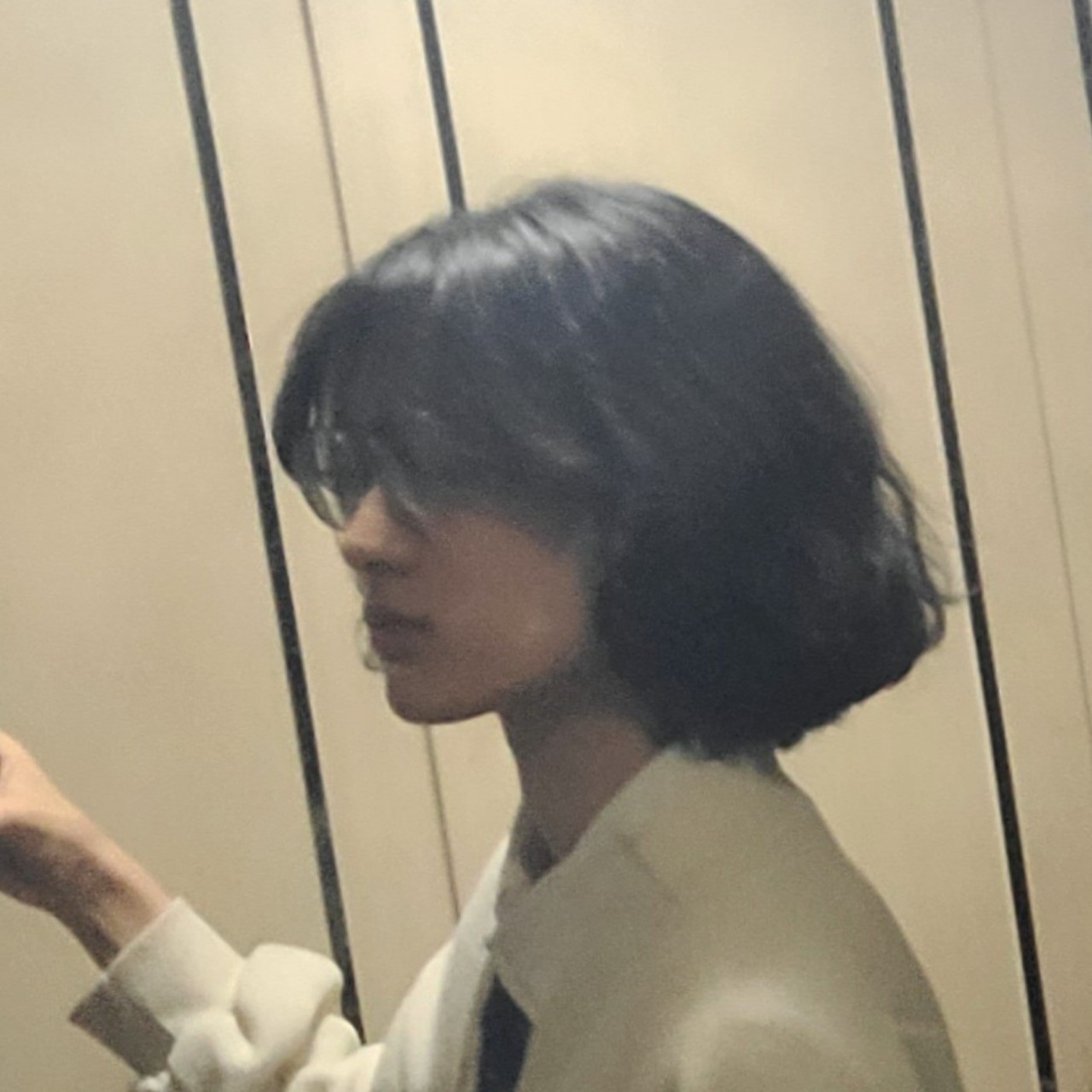 피레네