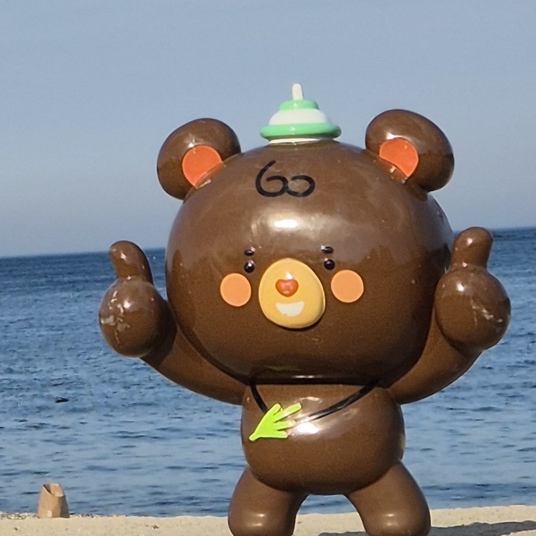 상  어