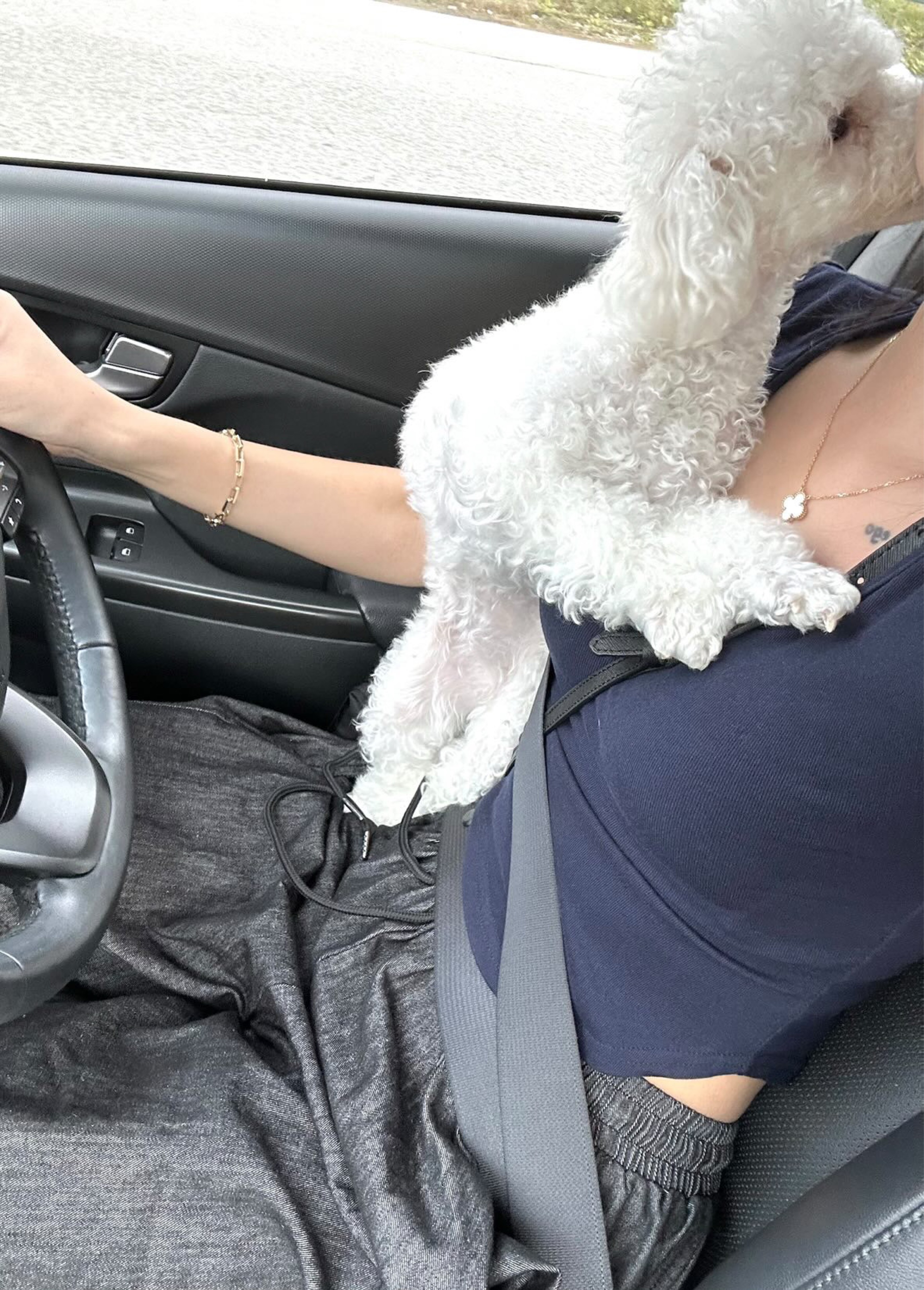 수     신 𝒔˚₊·